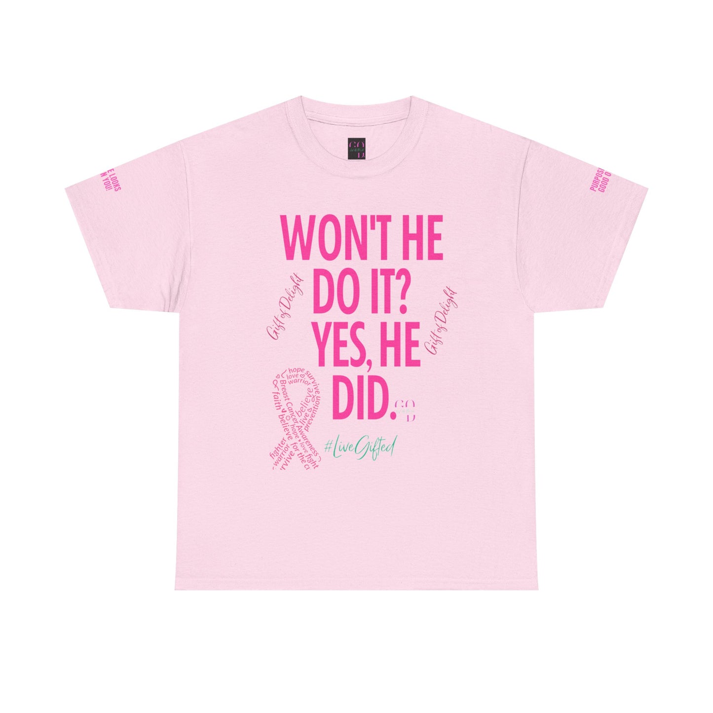 ✨SPECIAL EDITION Gift of Delight ✨WONT HE DO IT ✨and Inspirational Tee